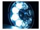 CCP TLRL Oblique (Dark Field) TruLight™ Ring light with eight white LED’s     Description : Oblique (Dark Field) TruLight