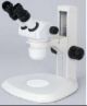 Nikon MMA23007 Nikon Stereo Microscopes SMZ460 Description : SMZ460 Zooming Body Type : Greenough zooming optical system with eyepiece correction mechanism on both eyepieces Total magnification : 7x-30x (3.5x-60x)Depending on eyepiece and auxiliary object